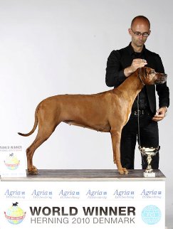 Holly — World Winner 2010